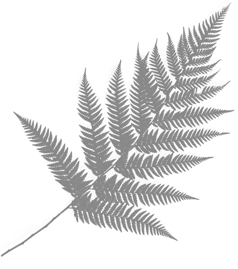 Graues Blatt